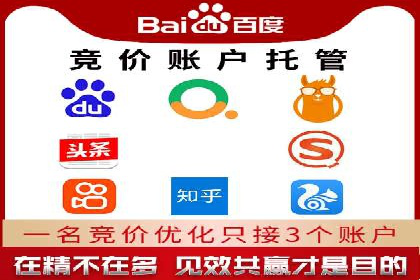 SEM托管服务成功案例：让广告投放更精准、更高效